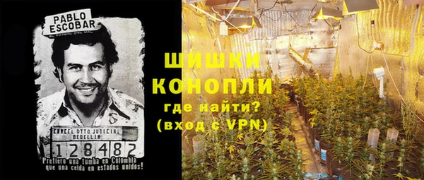 крисы Армянск