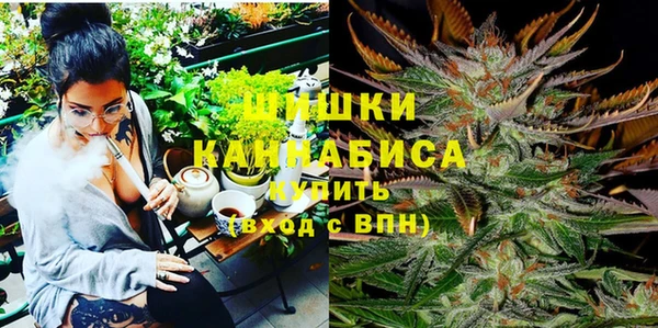 прущие грибы Балабаново