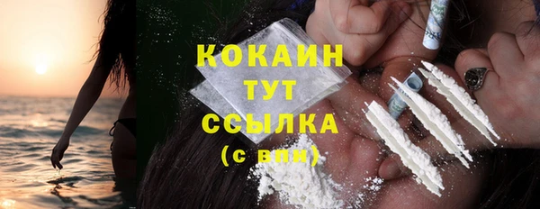 прущие грибы Балабаново