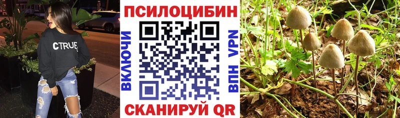 Галлюциногенные грибы GOLDEN TEACHER  купить  сайты  KRAKEN ссылки  Новоульяновск 